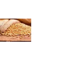 Купуємо пшеницю, ячмінь, жито, кукурудзу, сою, льон, ріпак